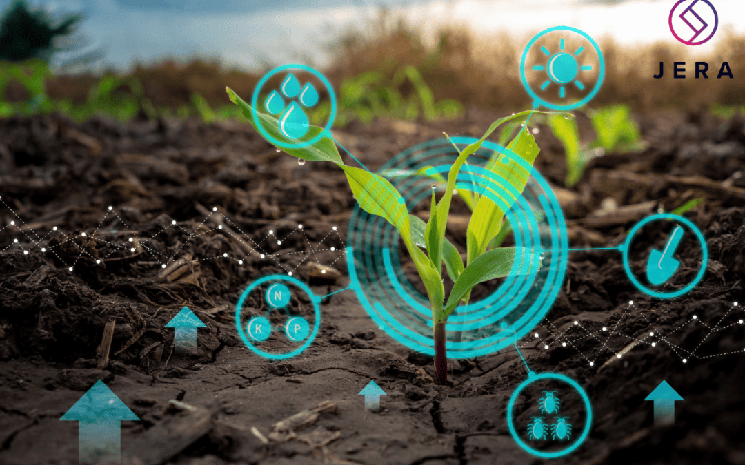 How Jera IT Can Help You Boost Your Agricultural Business with Innovative IT Solutions